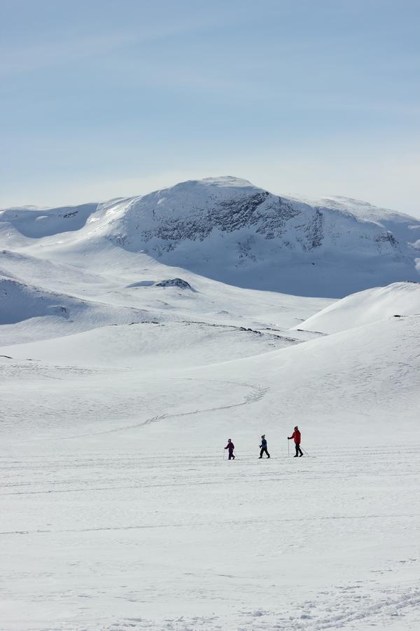 Bygdin Hoyfjellshotell Beitostolen Екстериор снимка