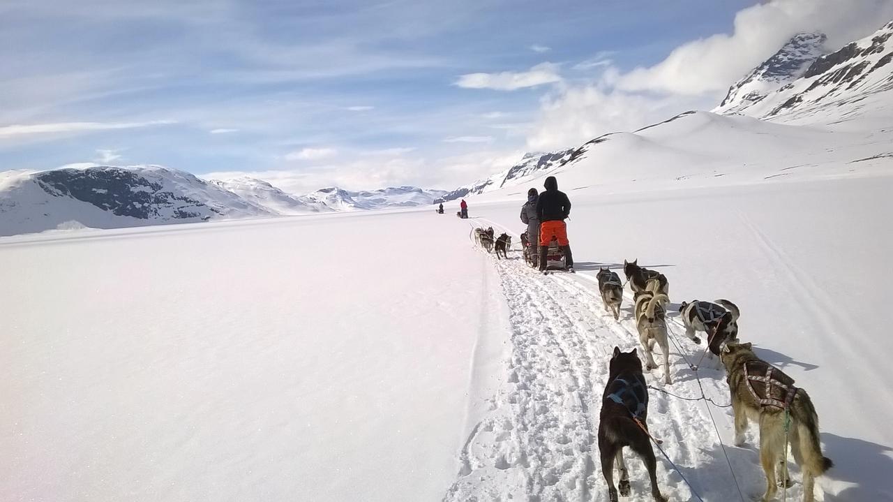 Bygdin Hoyfjellshotell Beitostolen Екстериор снимка